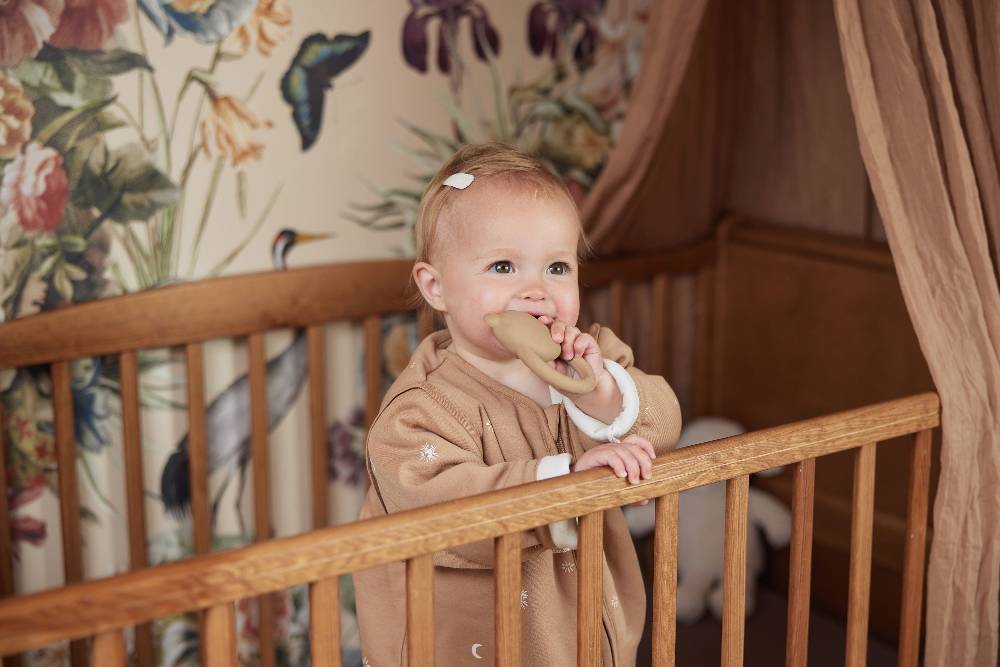 Jollein Beißring Naturkautschuk Teddy Bear Biscuit Rabatt