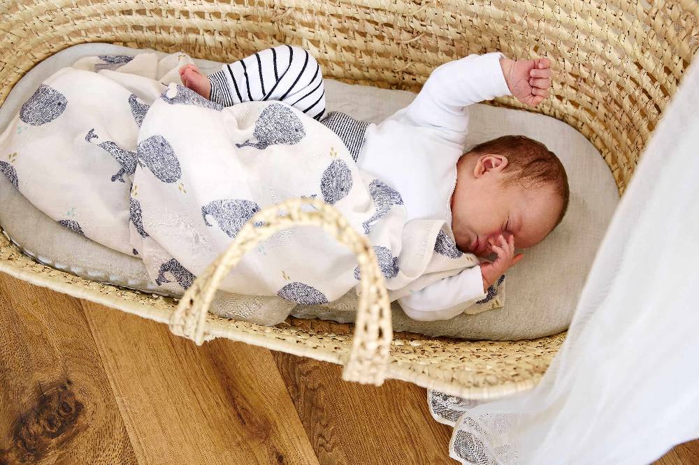 Lässig Mulltücher (3 Stk) - Heavenly Soft Swaddle L, Little Water Whale Kostenlose Rückgabe