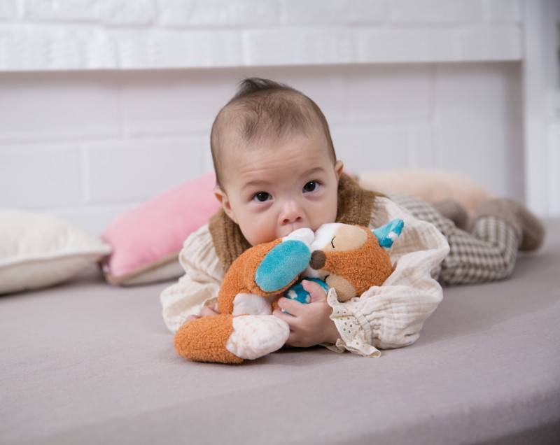 NICI Kuscheltier Gans Gilli Fabrikladen