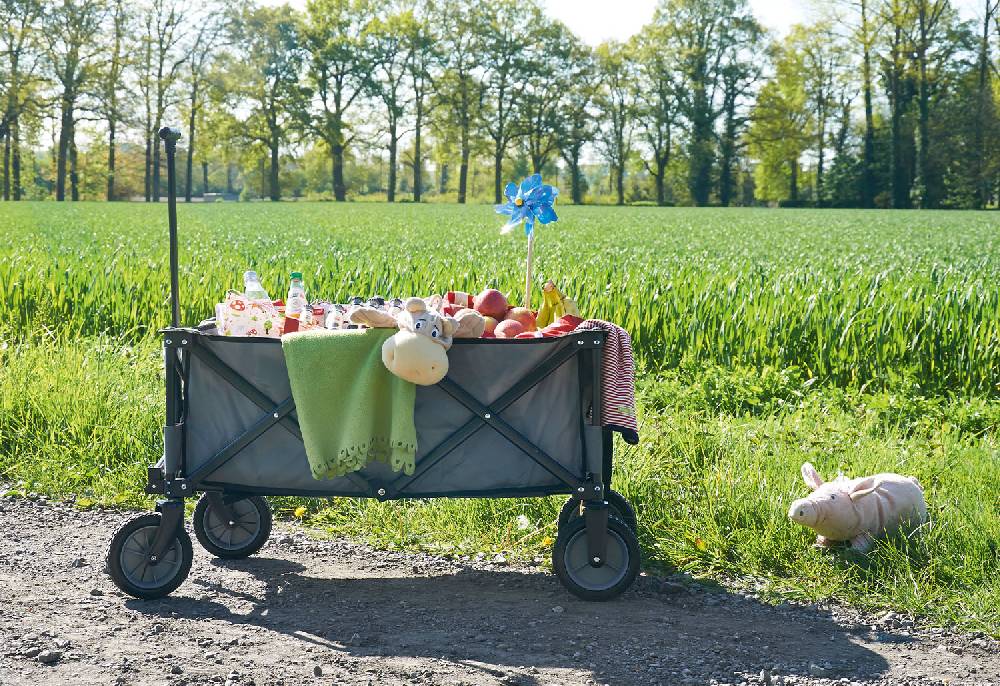 Pinolino Klappbollerwagen 'Porti', grau - Auslaufartikel Bis zu 65% Rabatt