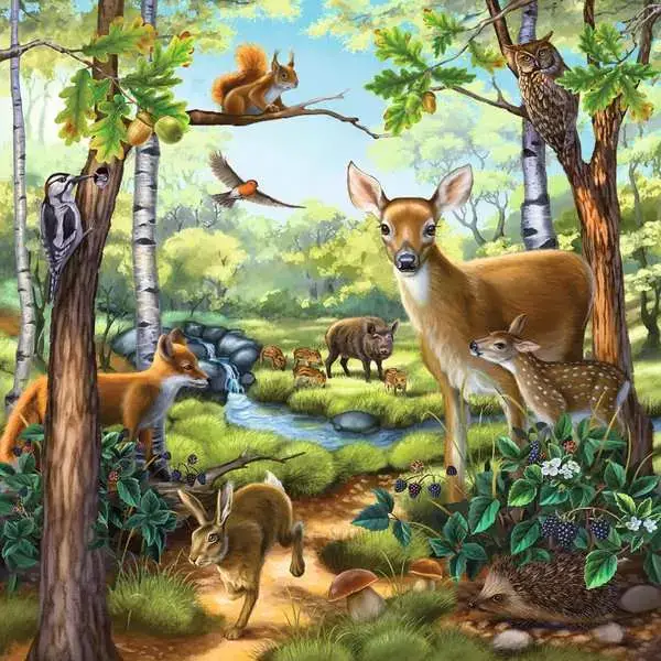 Ravensberger Matratzen Kinderpuzzle ab 5 Jahren - Wald-/Zoo-/Haustiere - 49 Teile Fabrik Onlineshop