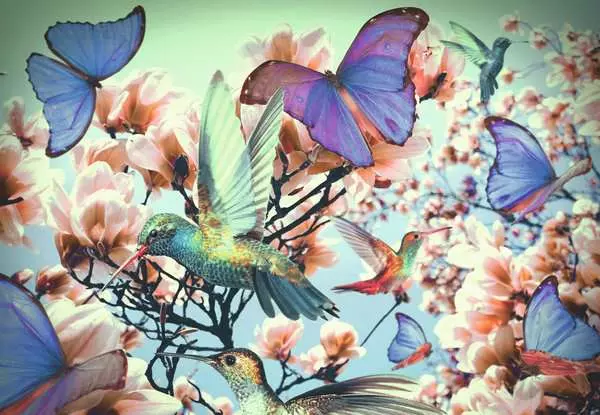 Ravensberger Matratzen Puzzle 300 Teile - Hummingbird Versandkostenfrei