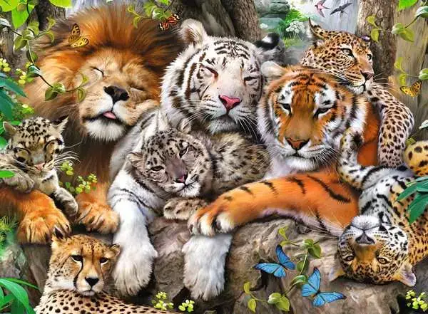 Ravensberger Matratzen Kinderpuzzle ab 8 Jahren - Schmusende Raubkatzen - 200 Teile Exklusivangebot