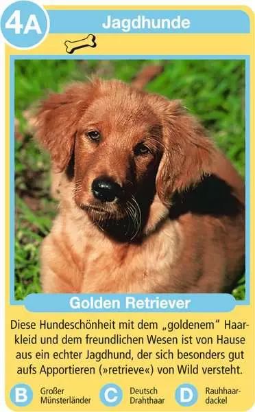 Ravensberger Matratzen Hunde - Kartenspiel ab 4 Jahren Großer Ausverkauf