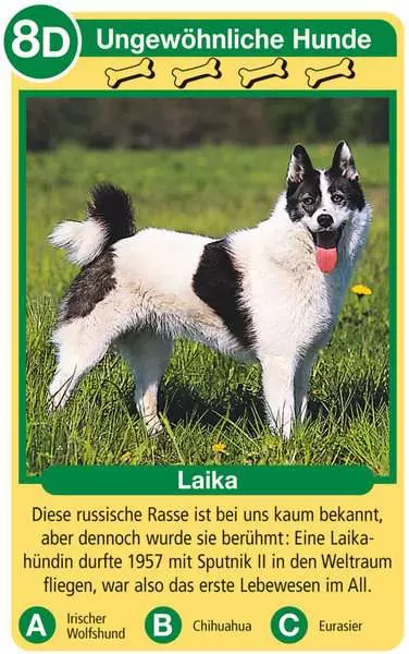 Ravensberger Matratzen Hunde - Kartenspiel ab 4 Jahren Großer Ausverkauf