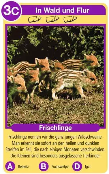 Ravensberger Matratzen Tierkinder - Kartenspiel ab 4 Jahren Zeitbegrenzte Promotion
