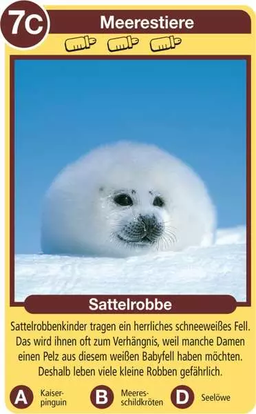 Ravensberger Matratzen Tierkinder - Kartenspiel ab 4 Jahren Zeitbegrenzte Promotion
