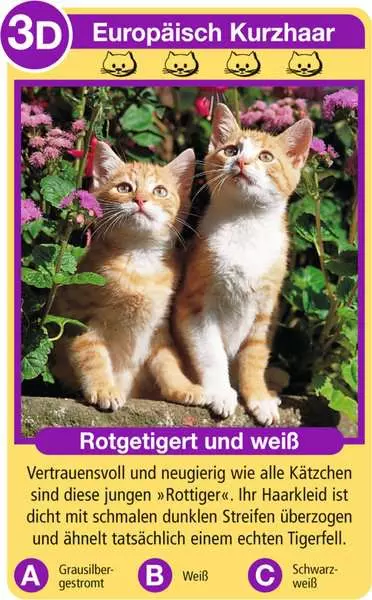 Ravensberger Matratzen Katzen - Kartenspiel ab 4 Jahren Wochenangebot