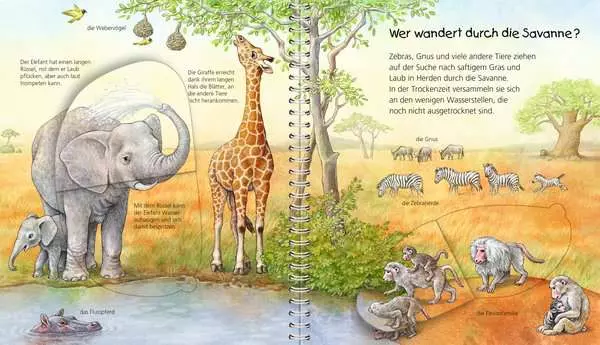 Ravensberger Matratzen Ravensburger Wieso? Weshalb? Warum? Mein junior-Lexikon: Tiere Zeitbegrenzte Promotion