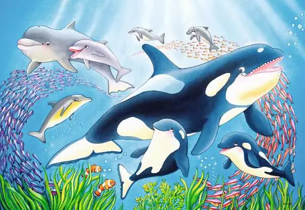 Ravensberger Matratzen Kinderpuzzle ab 4 Jahren - Kunterbunte Unterwasserwelt - 24 Teile Weihnachtsangebot