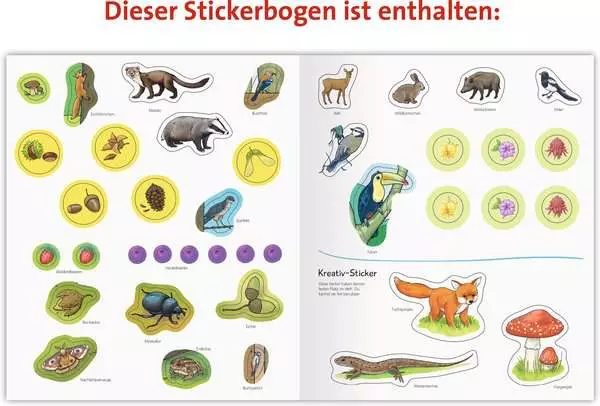 Ravensberger Matratzen Ravensburger Wieso? Weshalb? Warum? aktiv-Heft: Wald Vatertagsangebot