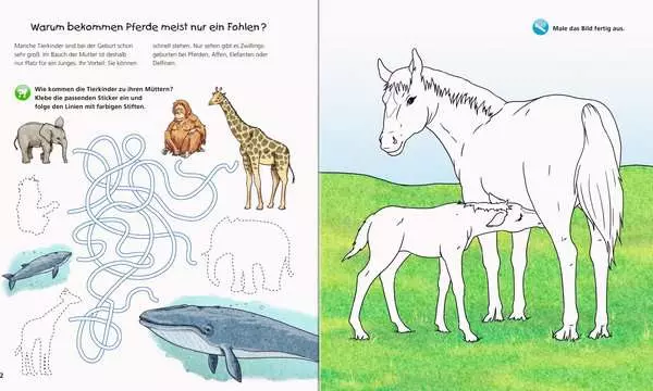 Ravensberger Matratzen Ravensburger Wieso? Weshalb? Warum? aktiv-Heft: Tierkinder JETZT KAUFEN