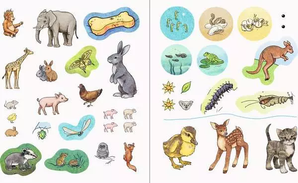 Ravensberger Matratzen Ravensburger Wieso? Weshalb? Warum? aktiv-Heft: Tierkinder JETZT KAUFEN