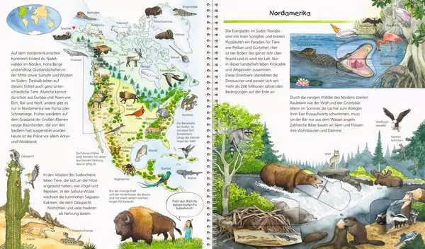 Ravensberger Matratzen Ravensburger Wieso? Weshalb? Warum?: Mein großer Tieratlas Osterangebot