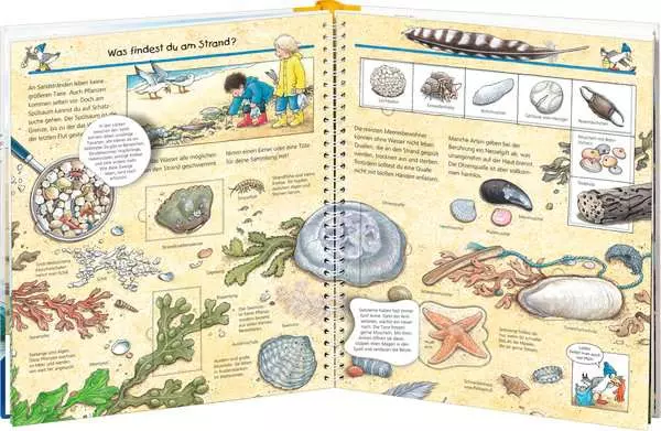 Ravensberger Matratzen Ravensburger Wieso? Weshalb? Warum?, Band 17: Komm mit ans Meer Muttertagsangebot