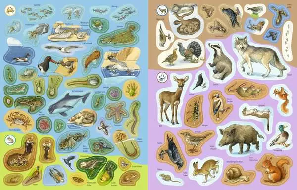 Ravensberger Matratzen Ravensburger Wieso? Weshalb? Warum? Stickerheft: Heimische Tiere Kauf eins, bekomm eins gratis