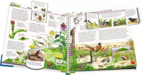 Ravensberger Matratzen Ravensburger Wieso? Weshalb? Warum?, Band 71: Wir entdecken heimische Tiere Sonderangebot der Fabrik