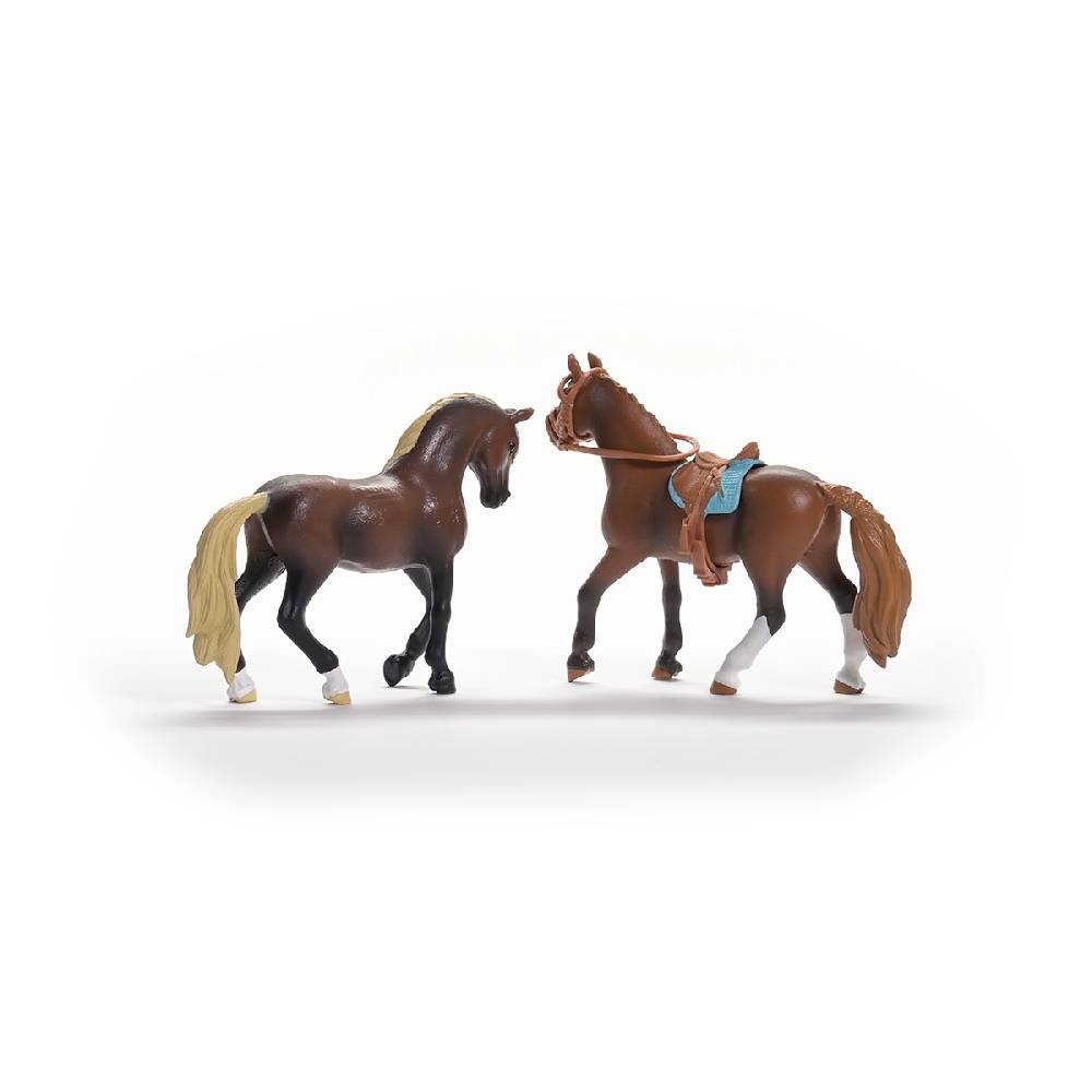 Schleich HORSE CLUB Paso Peruano Starter-Set Bis zu 60% Rabatt