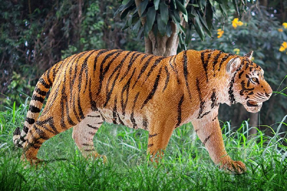 Schleich Tiger 2025