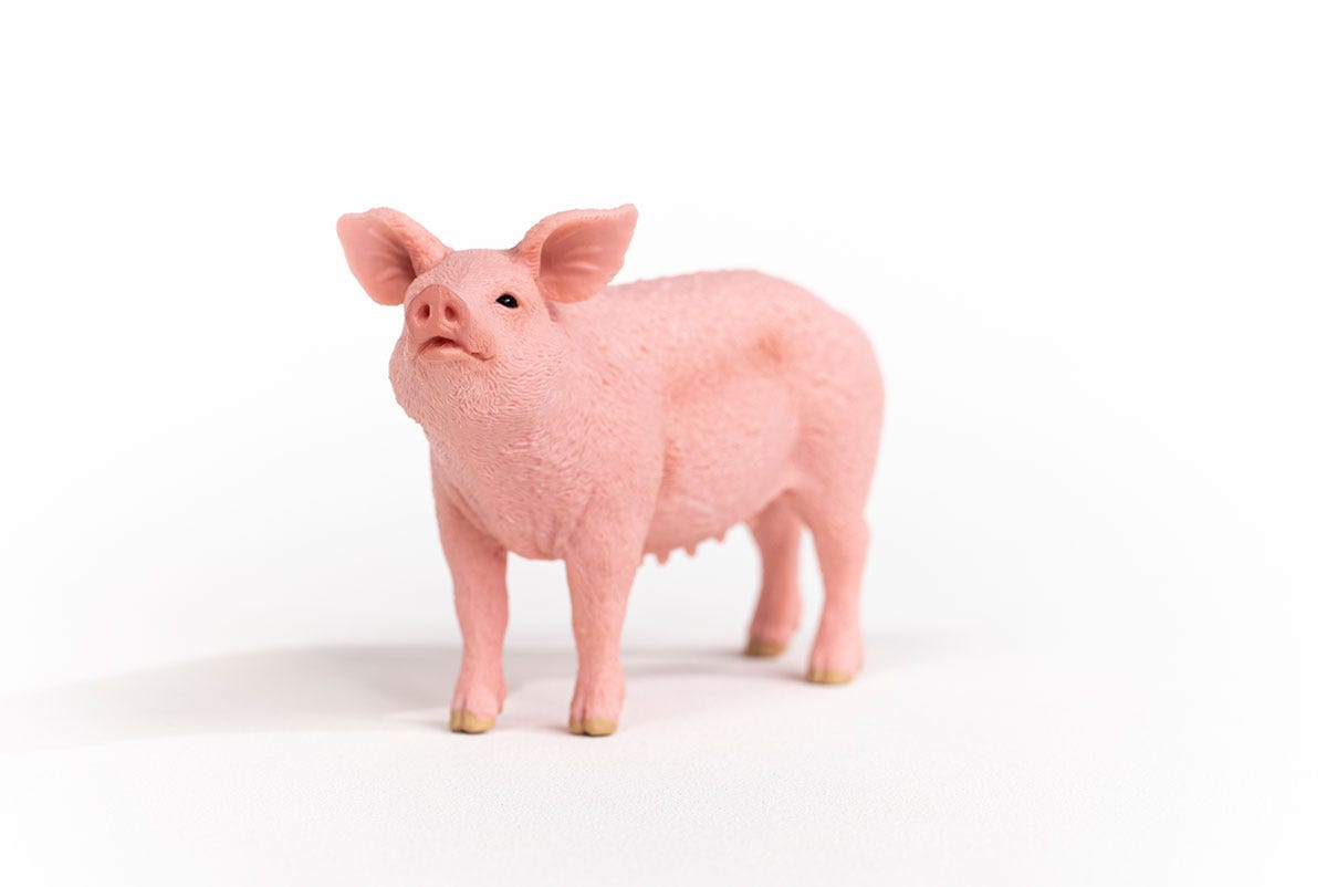 Schleich Schwein Weihnachtsangebot