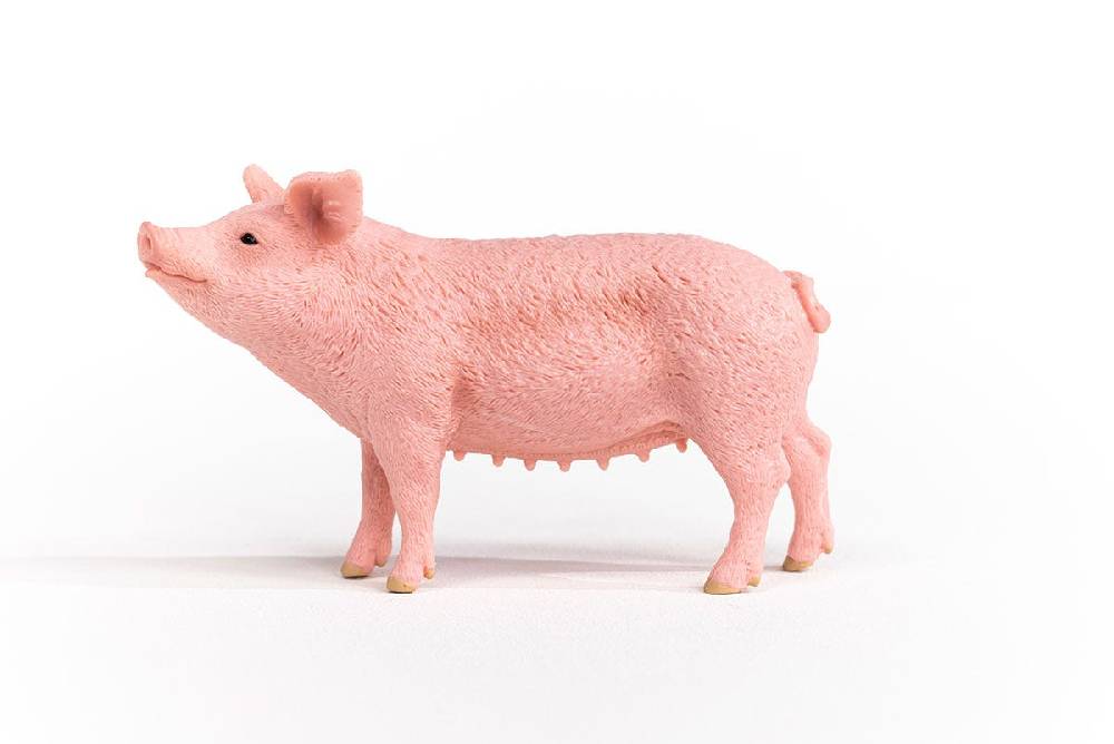 Schleich Schwein Weihnachtsangebot