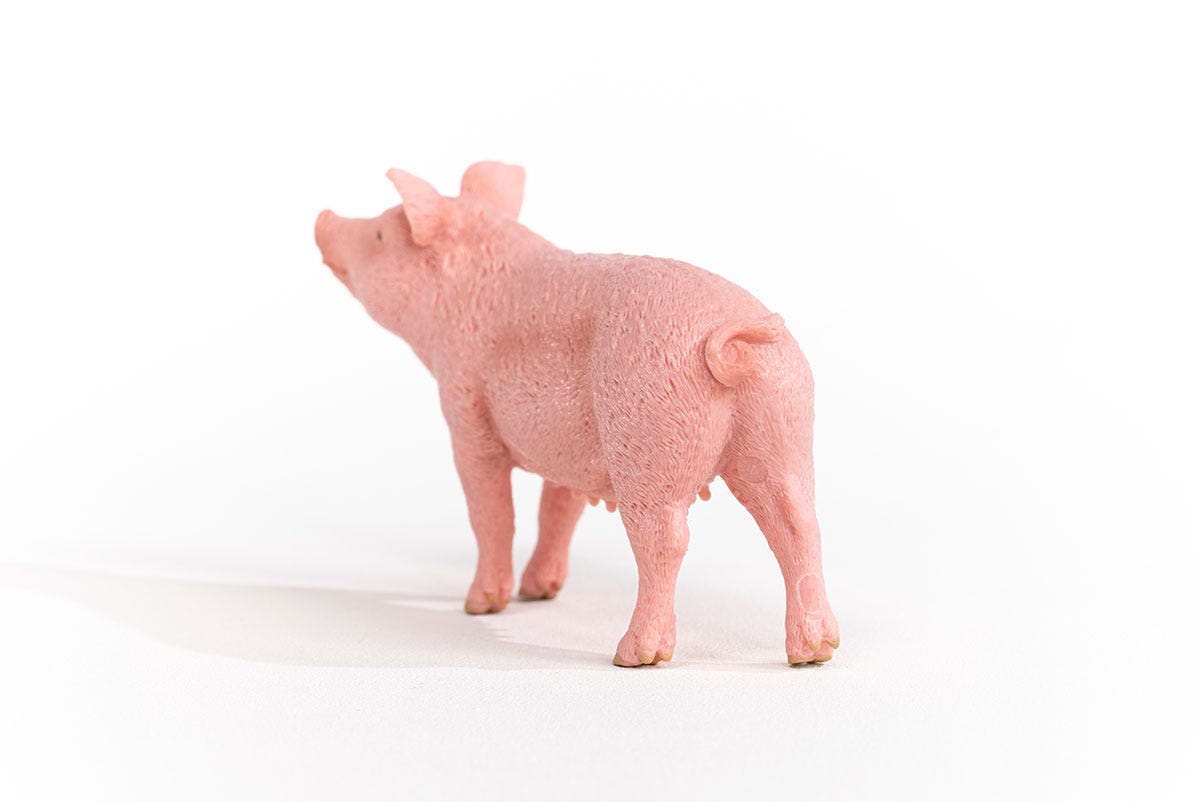 Schleich Schwein Weihnachtsangebot