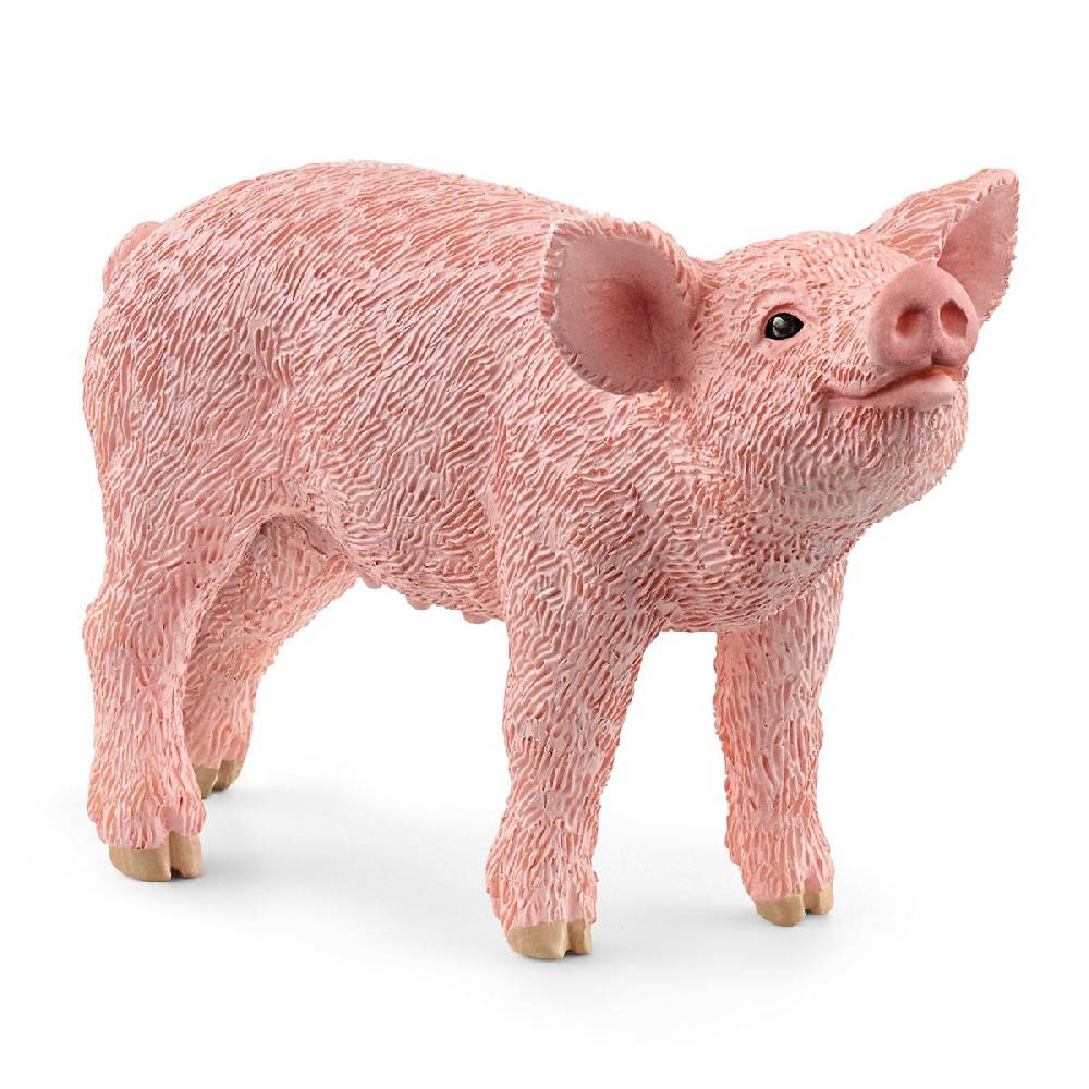Schleich Ferkel Jubiläumsangebot