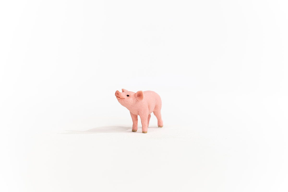 Schleich Ferkel Jubiläumsangebot