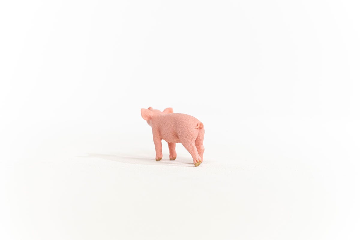 Schleich Ferkel Jubiläumsangebot