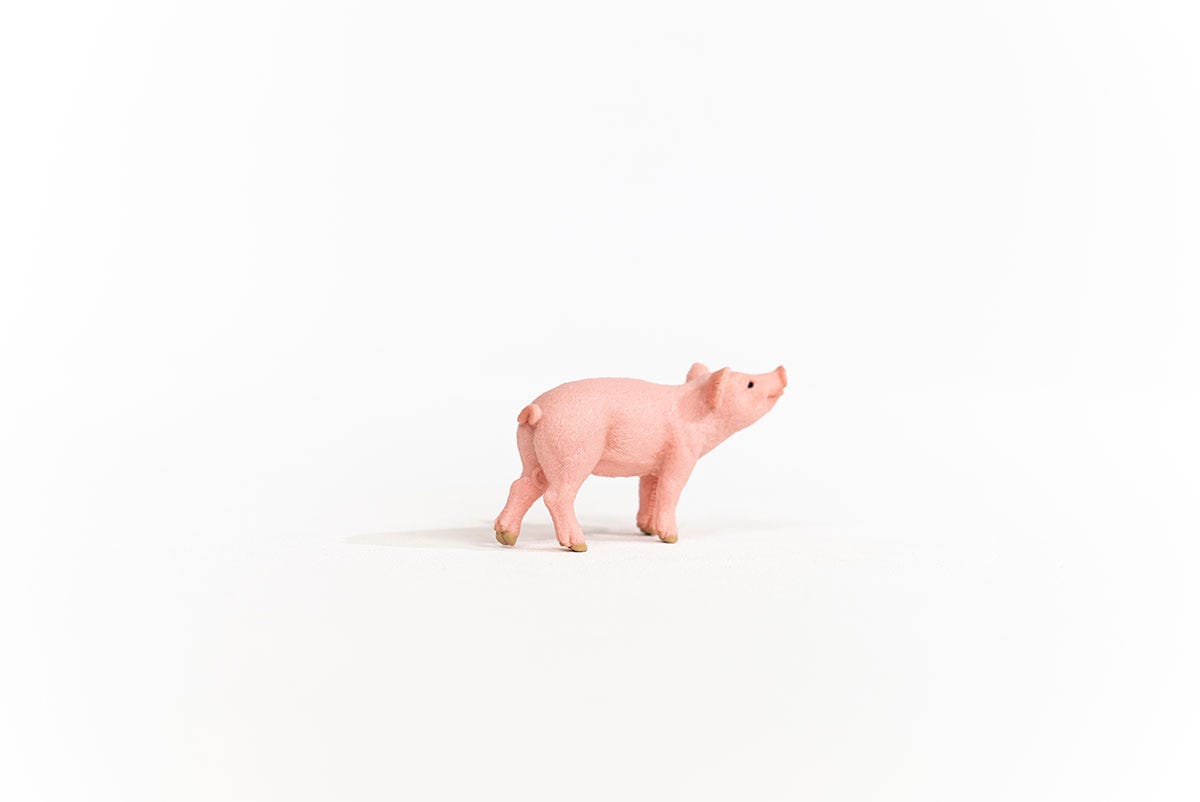 Schleich Ferkel Jubiläumsangebot