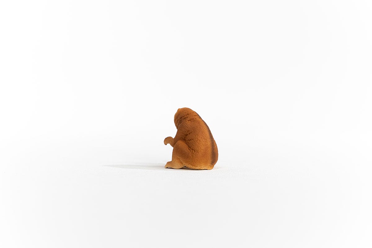 Schleich Plumplori im Angebot