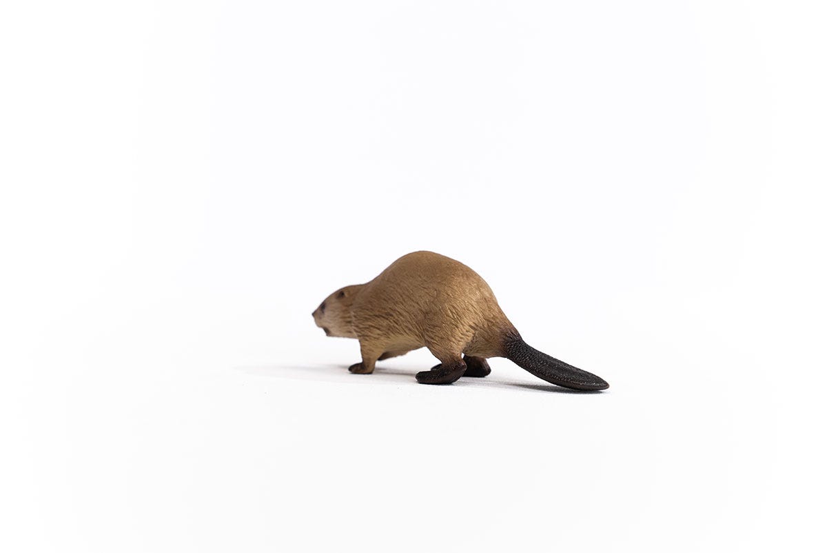 Schleich Biber Fabrikverkauf