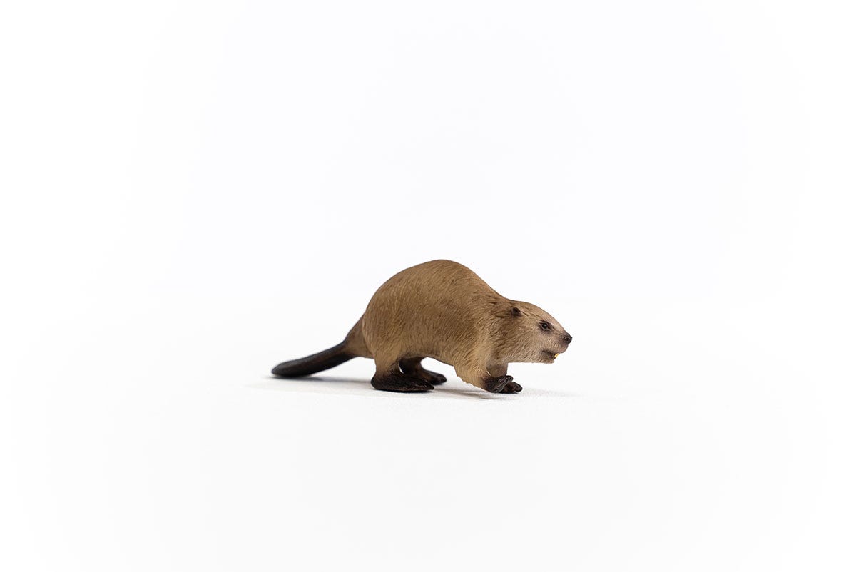 Schleich Biber Fabrikverkauf
