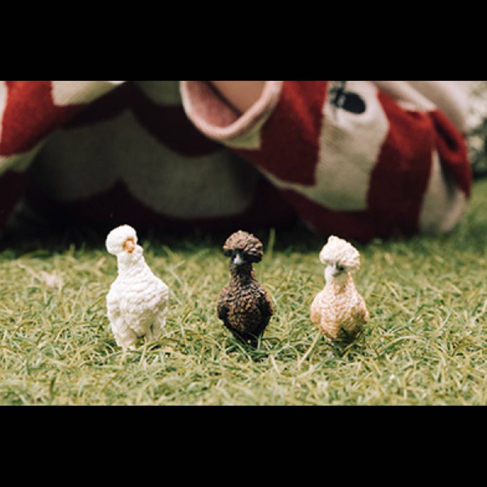 Schleich Hühnerfreunde Großer Ausverkauf