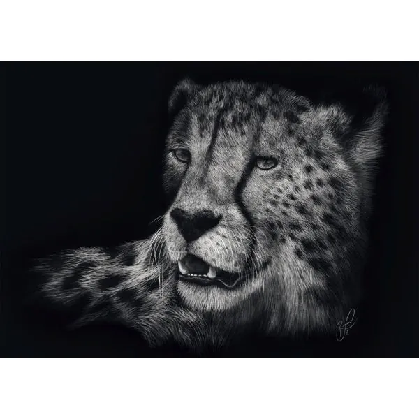 Schmidt Spiele Ashley Rader: Speed - Gepard, im Zeichen der Anmut, 1.000 Teile Puzzle Black Friday