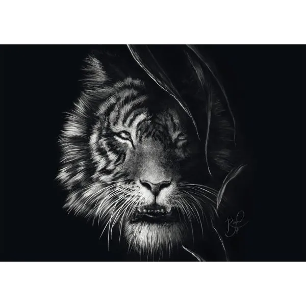 Schmidt Spiele Ashley Rader: Wilderness – Tiger, Im Zeichen der Freiheit, 1.000 Teile Puzzle Cyber Monday