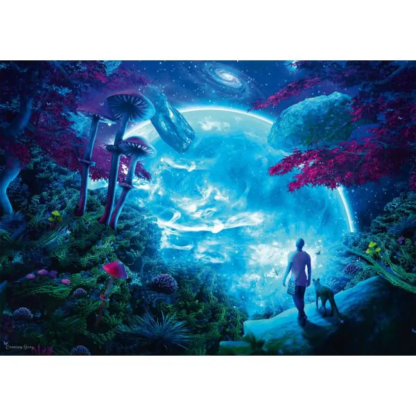 Schmidt Spiele Cameron Gray: Himmelsfantasie, 1.000 Teile Puzzle Super Sparpreis