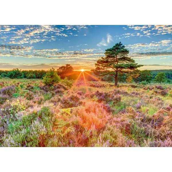 Schmidt Spiele Heide im Sonnenuntergang, 1.000 Teile Puzzle Riesige Rabatte