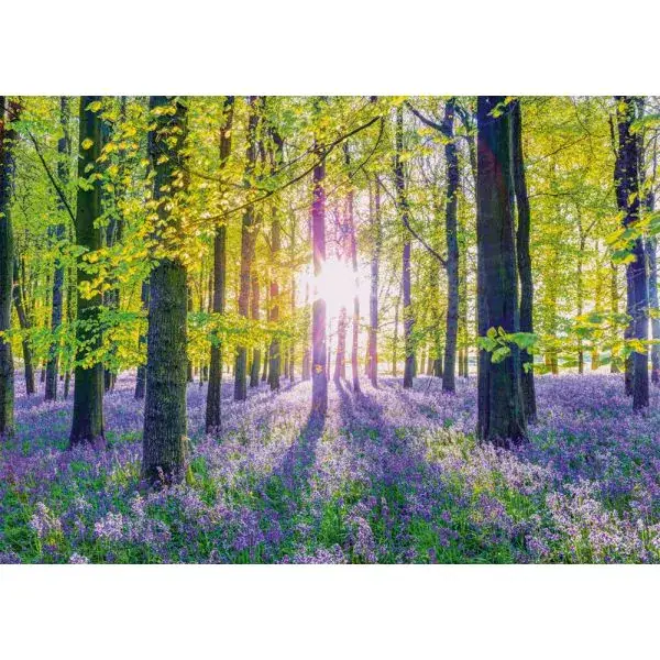 Schmidt Spiele Zarte Glockenblumen im Wald, 1.000 Teile Puzzle 50% Rabatt mit kostenlosem Versand
