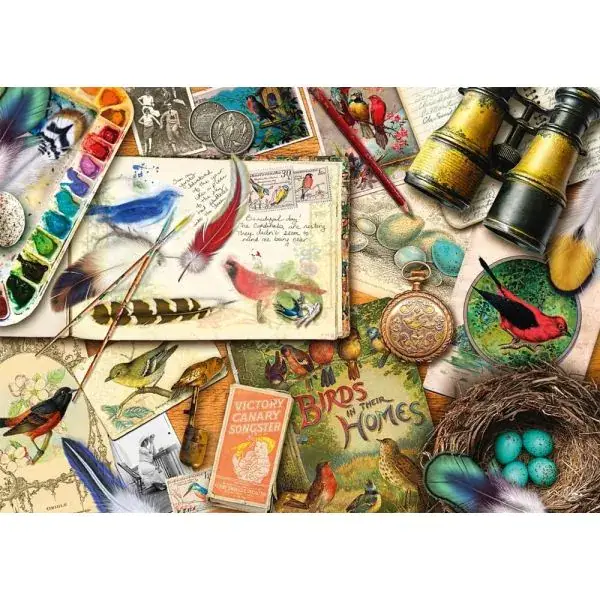 Schmidt Spiele Aimee Stewart: Aufgetischt: Vogelbeobachtung, 1.000 Teile Puzzle Vierteljährliche Förderung