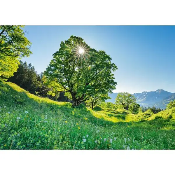 Schmidt Spiele Berg-Ahorn im Sonnenlicht – St. Gallen, Schweiz, 1.000 Teile Puzzle Nur noch ein Tag übrig