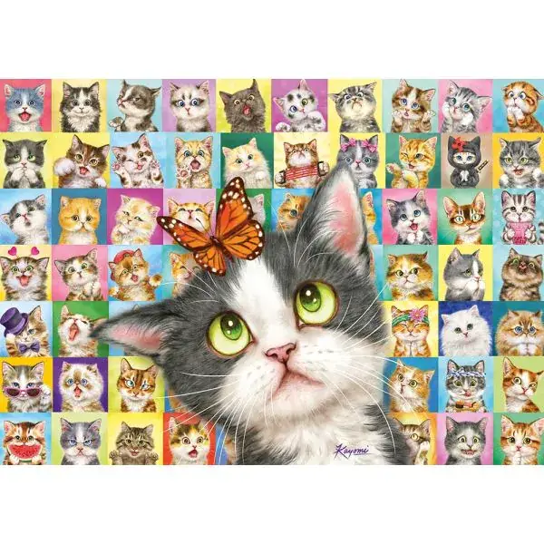 Schmidt Spiele Katzen-Mimik, 1.000 Teile Puzzle Riesige Rabatte