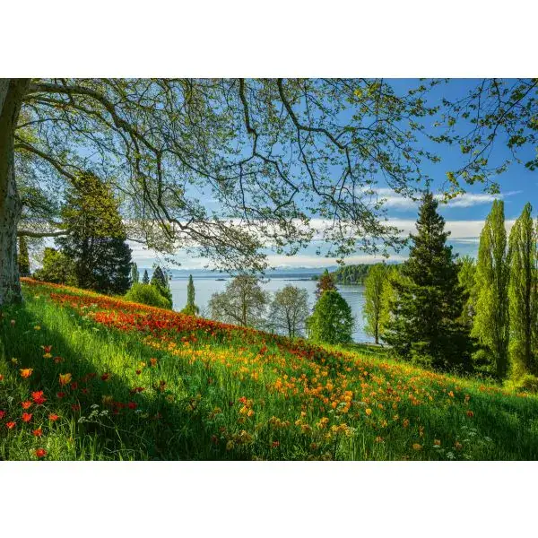 Schmidt Spiele Frühlingsallee zur Tulpenblüte, Insel Mainau, 1.000 Teile Puzzle Riesige Ersparnisse