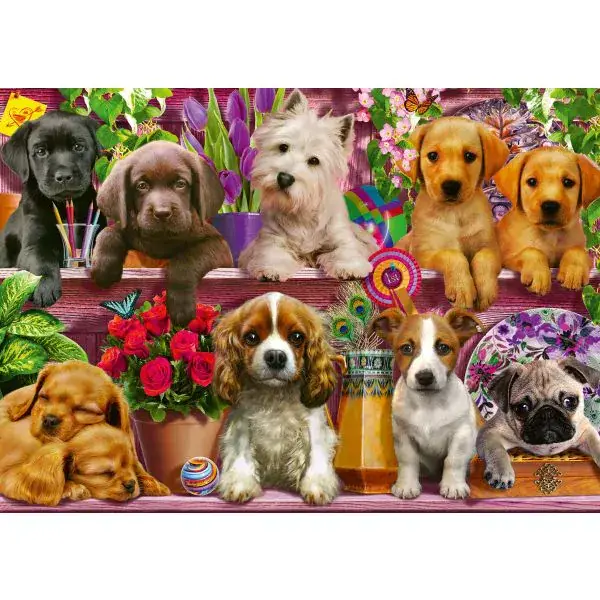 Schmidt Spiele Hunde im Regal, 500 Teile Puzzle Zeitbegrenzte Promotion
