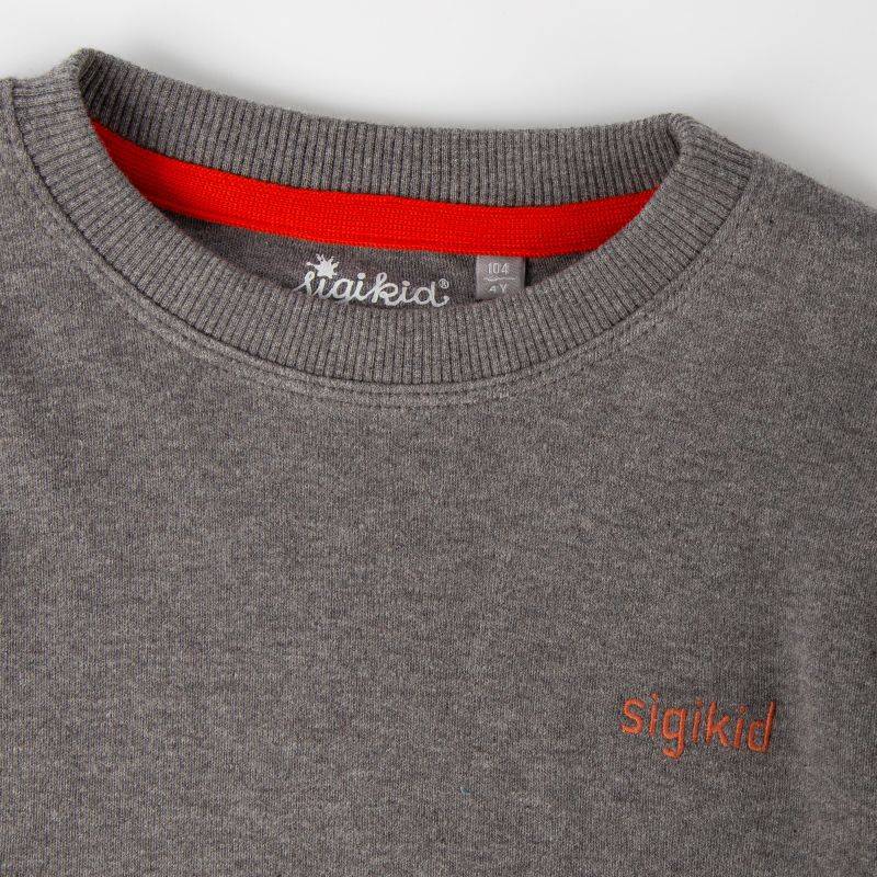 Sigikid Graumeliertes Kinder Langarmshirt Polarschiff Nur noch ein Tag übrig