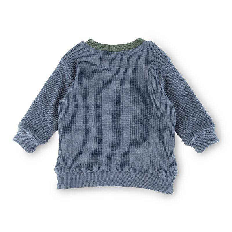 Sigikid Baby Langarm Wendeshirt, blau oder grün-weiß geringelt Super Rabatt