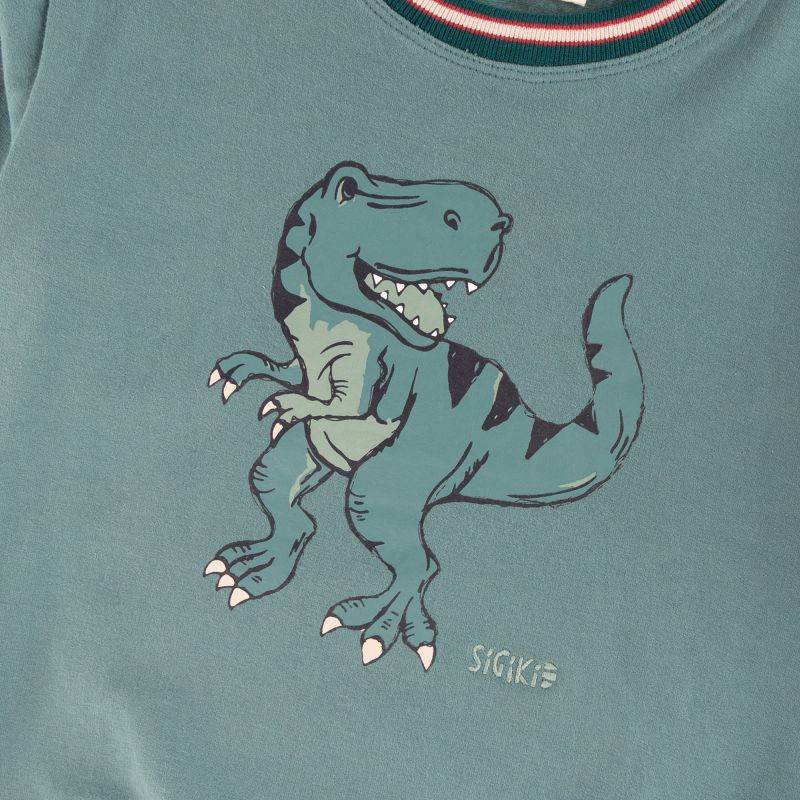 Sigikid Kinder Sweatshirt Dino, grün zollfrei