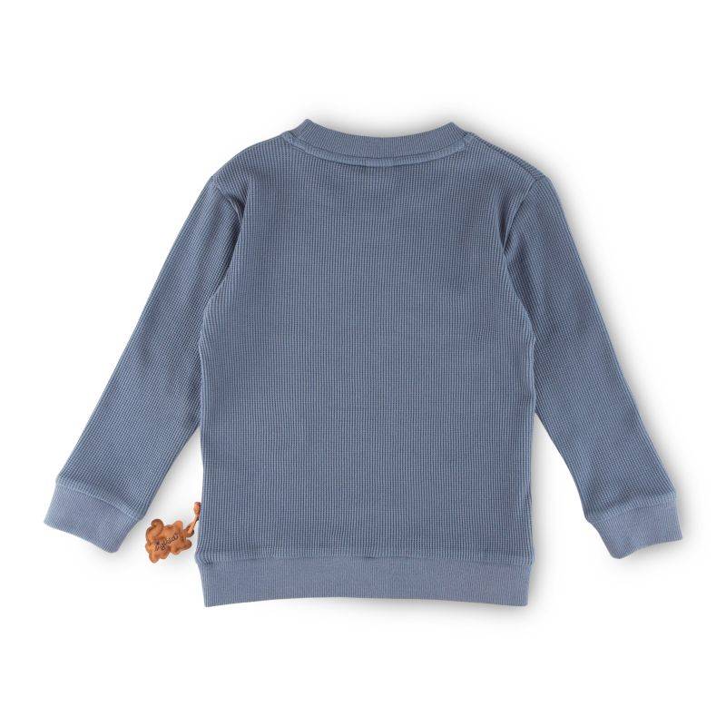 Sigikid Kinder Langarmshirt Forest Adventure, blau Fabrikpreis