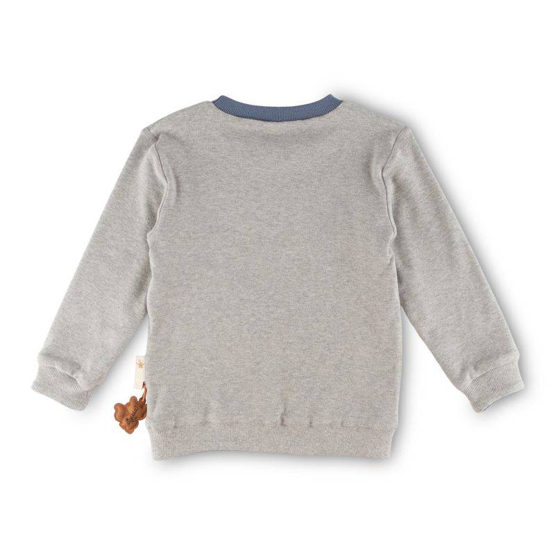 Sigikid Kinder Langarm Wendeshirt Forest Adventure, blau oder grau Osterangebot