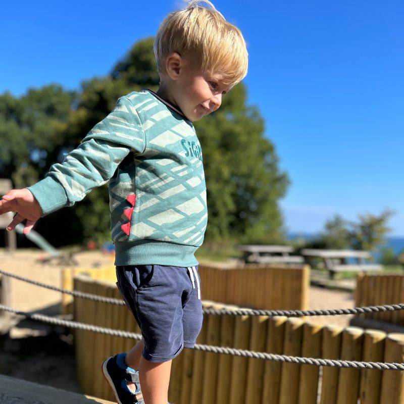 Sigikid Baby Sweatshirt Dino World, grün Black Friday Preise